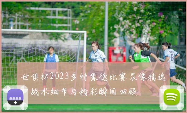 世俱杯2023多特蒙德比赛录像精选，战术细节与精彩瞬间回顾