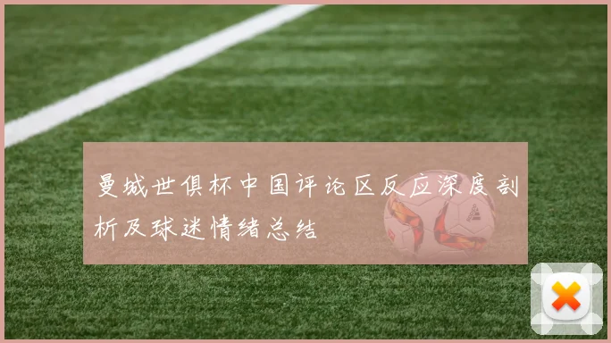 曼城世俱杯中国评论区反应深度剖析及球迷情绪总结
