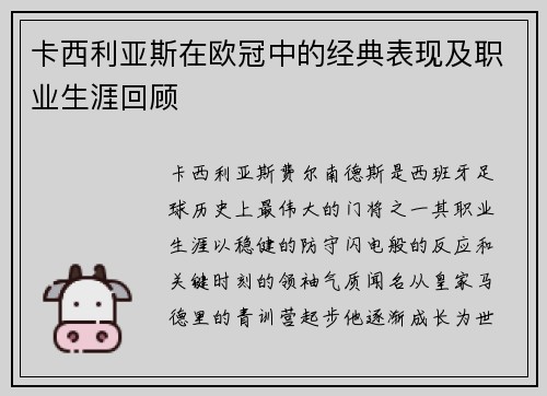 卡西利亚斯在欧冠中的经典表现及职业生涯回顾